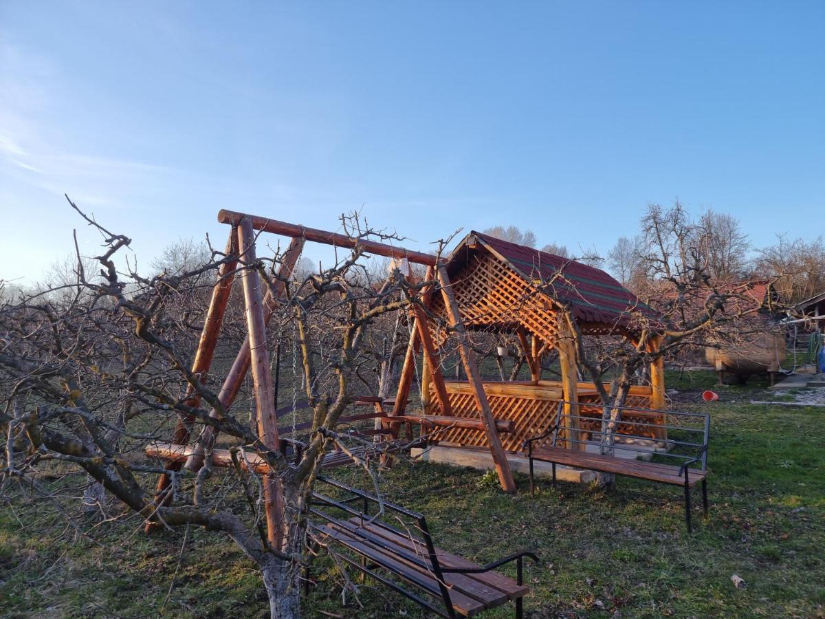 Pensiunea Paradis Borobanesti Eksteriør billede